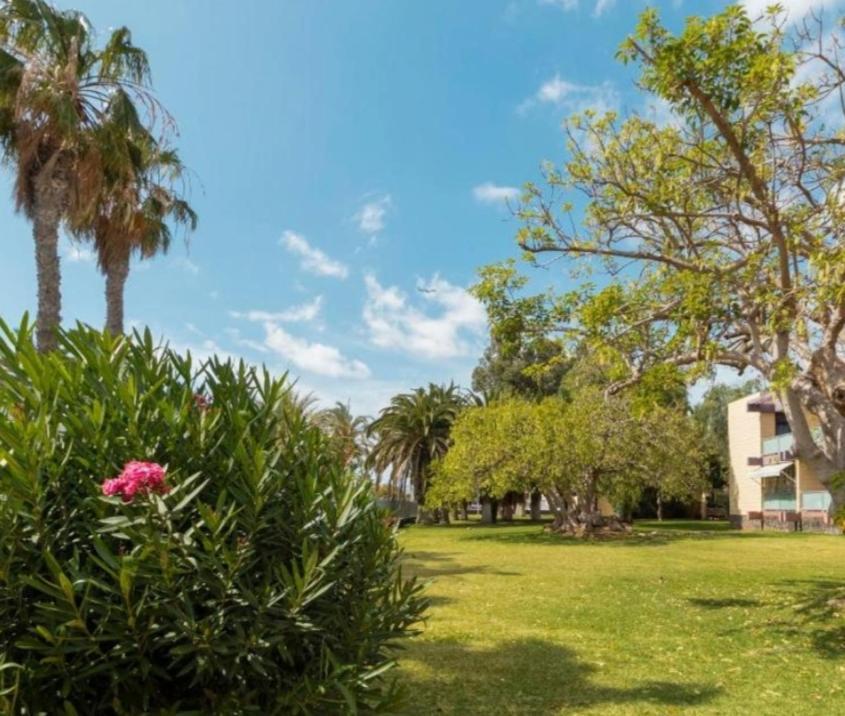 Galeria De Arte. Apartment Arona  Luaran gambar